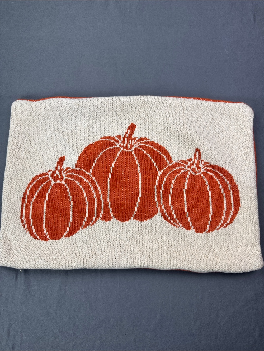 Cupcakes & Cashmere Reversible Pumpkin Knit Pillow Cover 100% Cotton Fall Decor